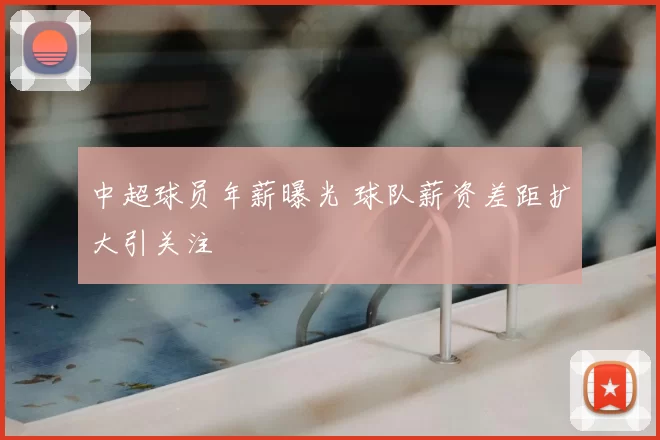 中超球员年薪曝光 球队薪资差距扩大引关注