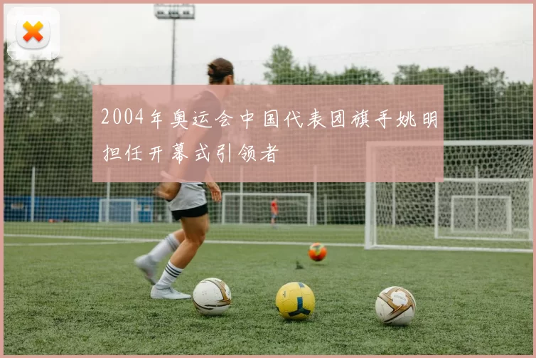 2004年奥运会中国代表团旗手姚明担任开幕式引领者