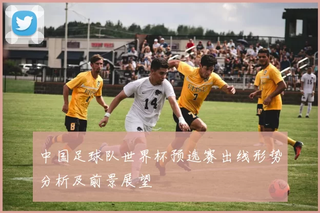 中国足球队世界杯预选赛出线形势分析及前景展望