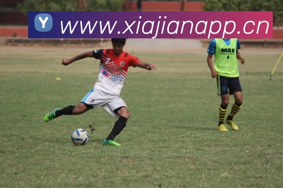 世界杯直播免费观看平台生态图